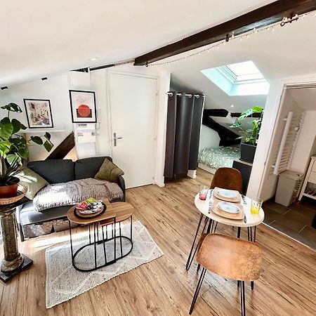 Loft Hortensia Hyper Centre Castres Кастр Экстерьер фото