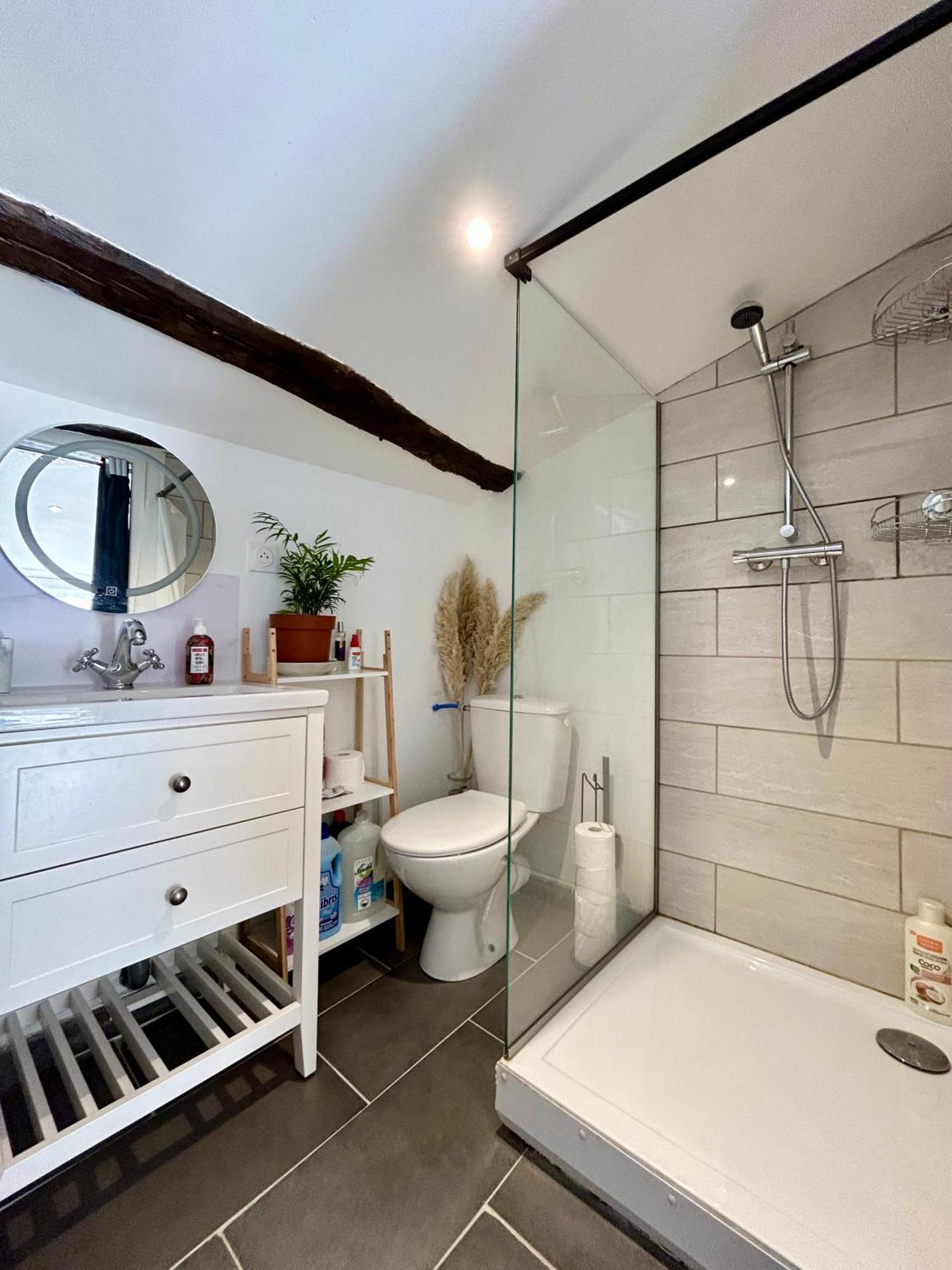 Loft Hortensia Hyper Centre Castres Кастр Экстерьер фото