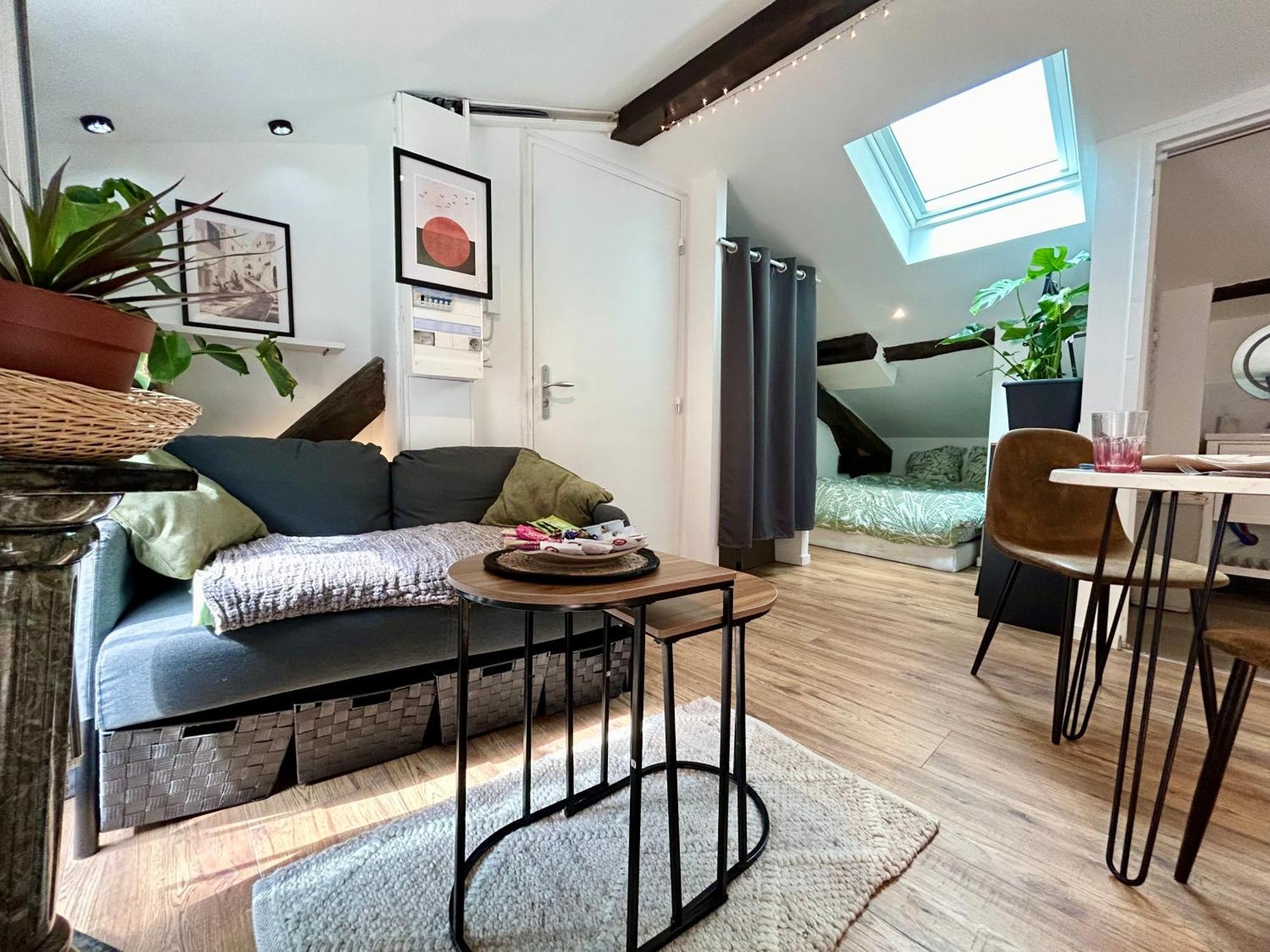 Loft Hortensia Hyper Centre Castres Кастр Экстерьер фото