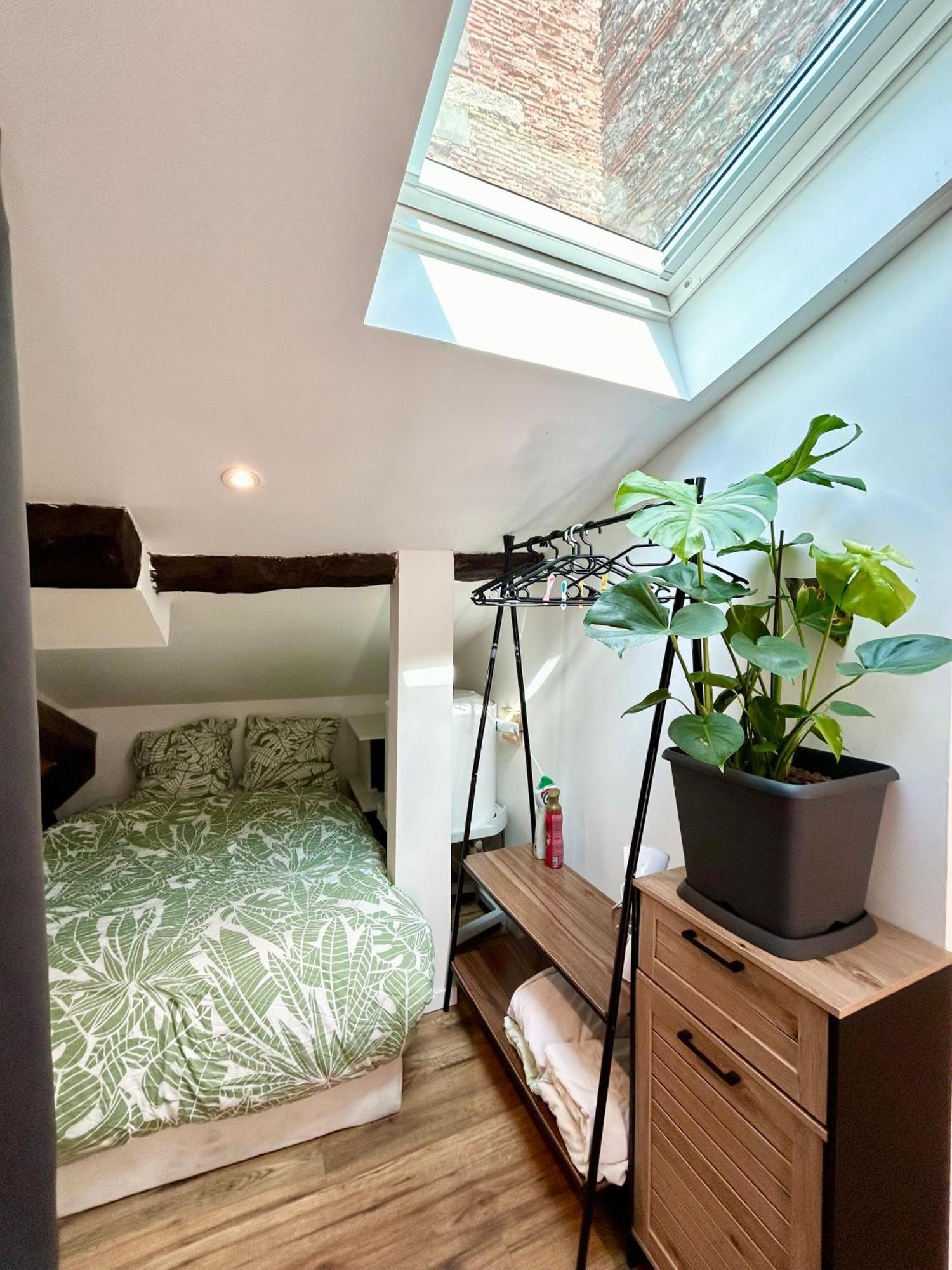 Loft Hortensia Hyper Centre Castres Кастр Экстерьер фото